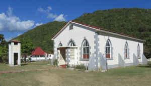 Alligator Pond United 1