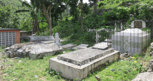 FP - Alps #02, Trelawny