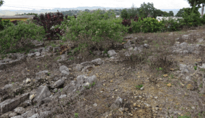 St Luke's Anglican, Sanguinetti 1