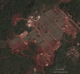 Meadowrest Memeorial Gardens 4